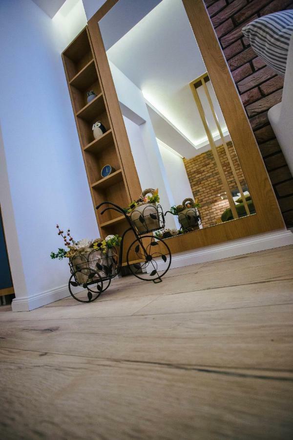 Briana Luxury Studio Cluj-Napoca Eksteriør billede