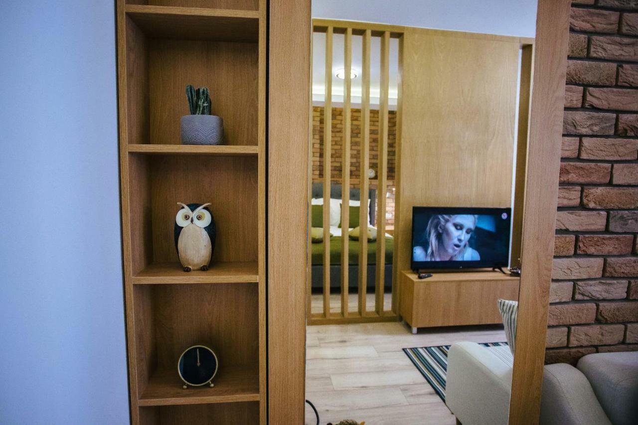 Briana Luxury Studio Cluj-Napoca Eksteriør billede